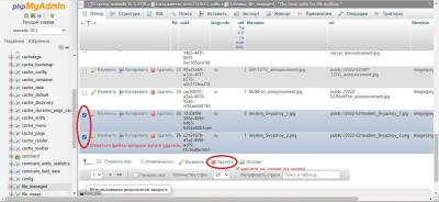 Можно удалить сразу несколько файлов, отметив их галочками, после чего нажав внизу таблицы кнопку «Удалить».