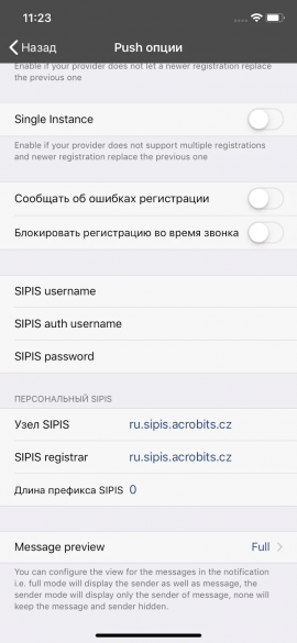 Параметры приложения для iOS русская версия